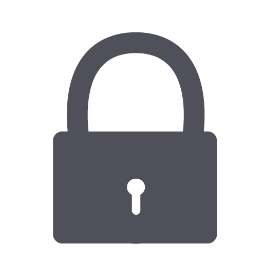 Password Icon